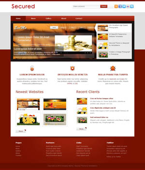 企业级应用支持的网站攻击工具